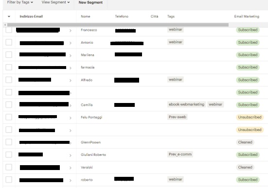 Screenshot preso da mailchimp che fa vedere gli "attributi", ossia aggettivi che possiamo assegnare ai nostri contatti per catalogarli e utilizzarli per azioni specifiche di email marketing